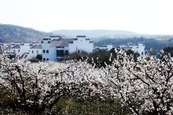 试镜机会