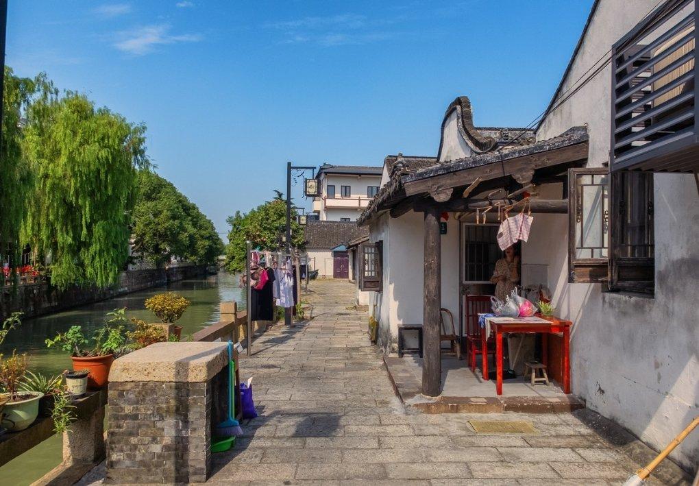 动物帮帮忙保卫家园